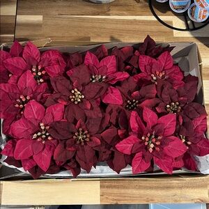 Vintage Lot of 35 Variety Poinsettias For Holiday Decorations